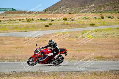 media/May-10-2024-2WTD (Fri) [[c88d7990af]]/Group B/Session 6-Turn 11/